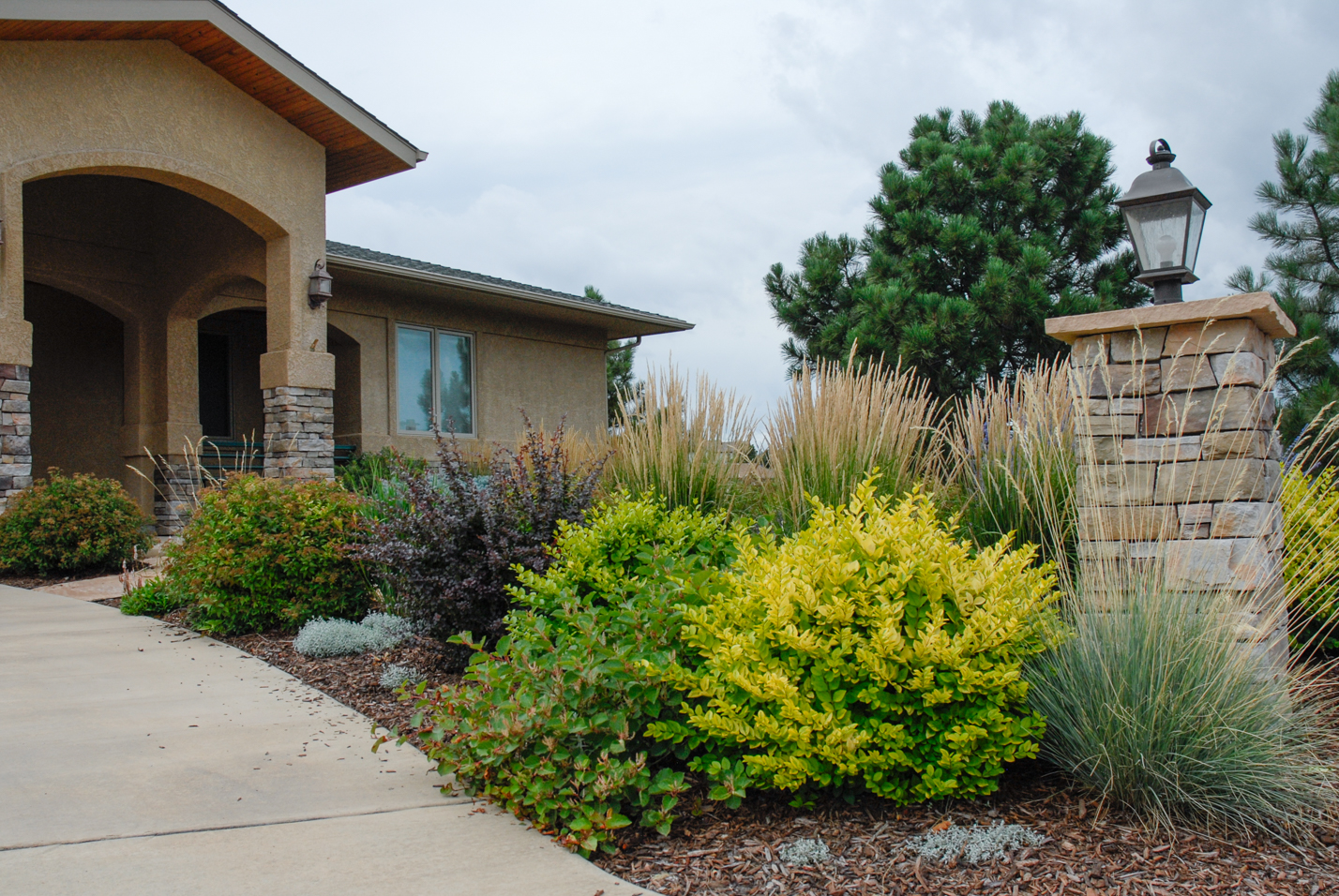 Exceptional Entrance